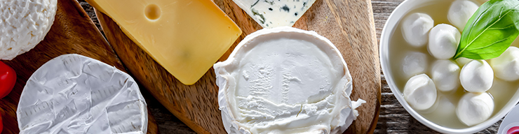 Dairy Industry Trends 2024: The Surprising Growth of Cheese, Yogurt, and Butter Consumption